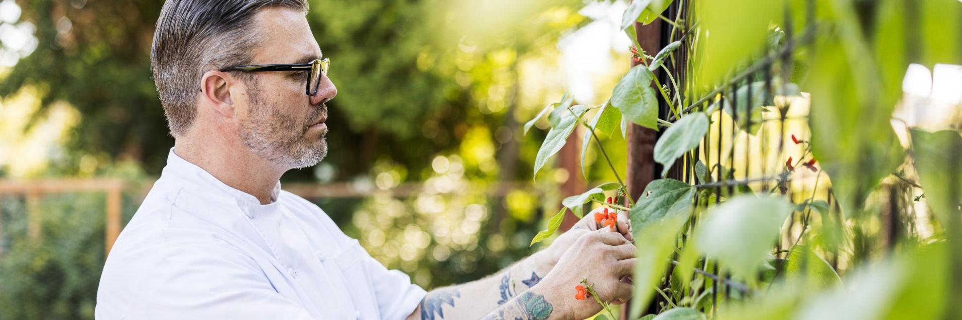 Silverado Resort Chef's Garden