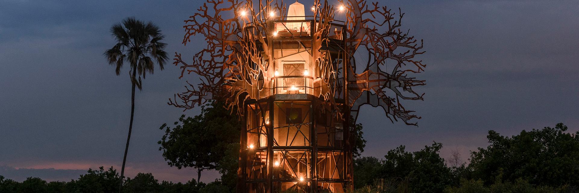 The Baobab tree house at night.