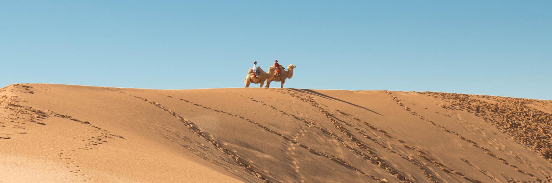 Camel riders on Sand Dune