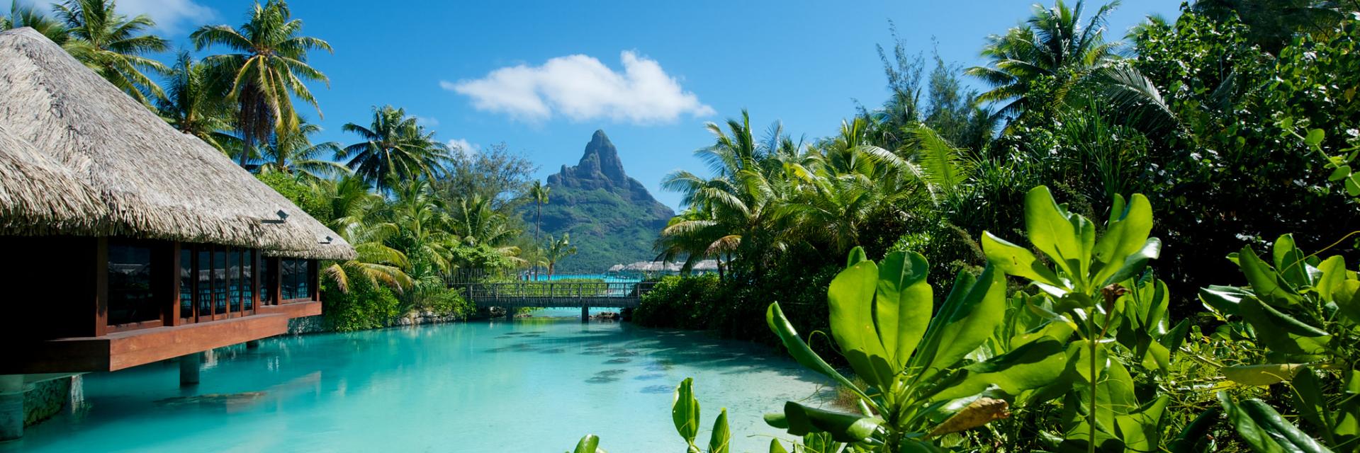 Overwater bungalows surrounded by lush jungle.