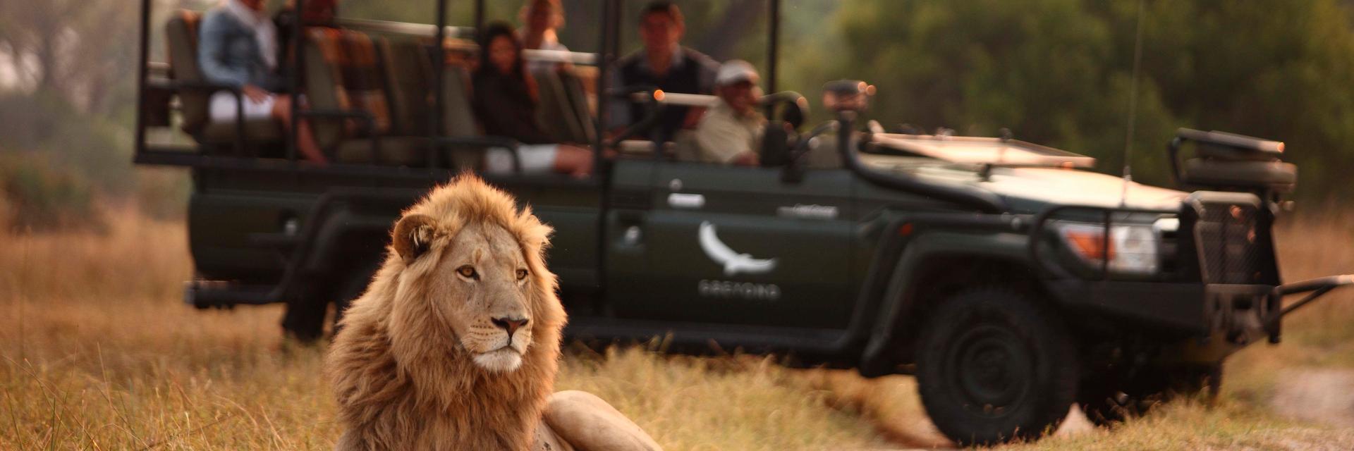 andBeyond Sandibe Okavango Safari Lodge Game Drive