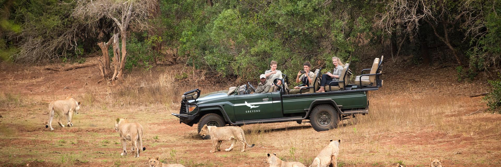 Game Drive