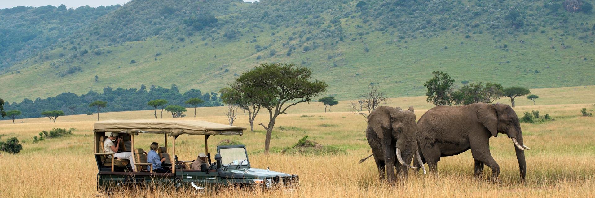 andBeyond Bateleur Camp Elephant Spotting