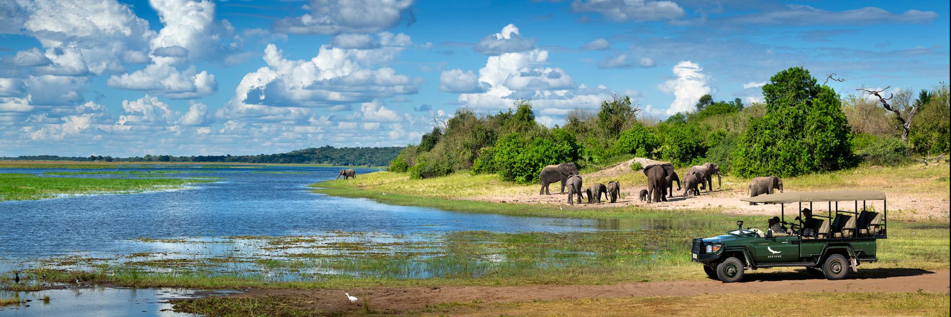Game Drive Elephant Watchint