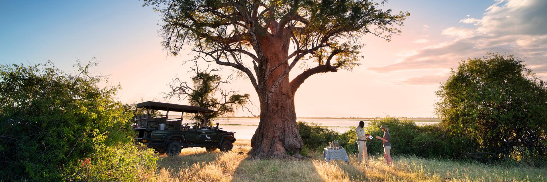 Bush Dining