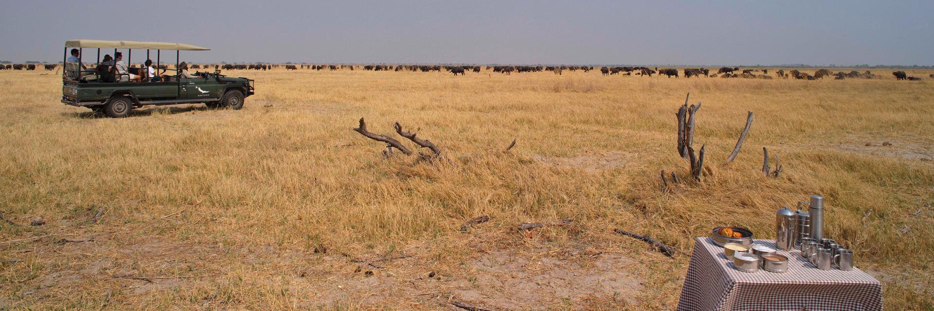 Game Drive