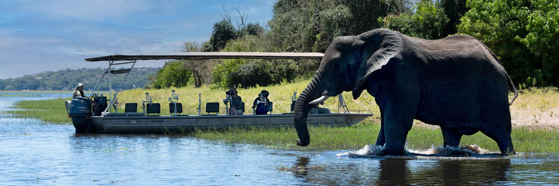 Photographic Boat Safari Elephant Watching