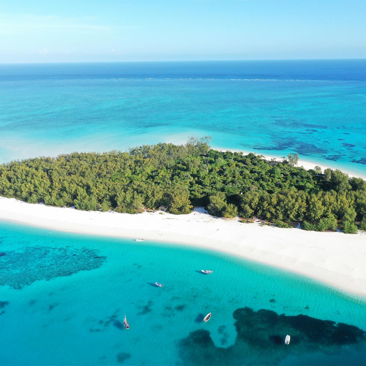 Zanzibar Mnemba Island